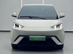BYD Seagull 305km Freedom Edition - ფოტო 2