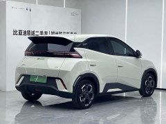 BYD Seagull 305km Freedom Edition - ფოტო 3