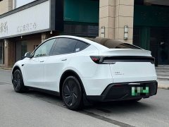 Tesla Model Y Rear-Wheel Drive - ფოტო 11