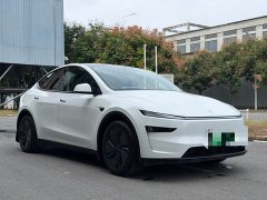 Tesla Model Y Rear-Wheel Drive - ფოტო 3