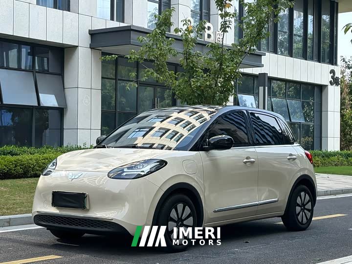 Wuling Binguo 333km Lingxi Connected Edition