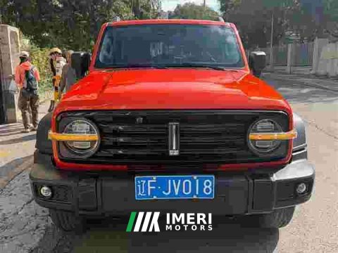 2021 Tank 300 Off-Road Edition 2.0T Conqueror - ავტომობილი ჩინეთიდან