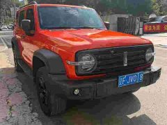 Tank 300 Off-Road Edition 2.0T Conqueror - ფოტო 3