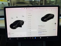 Tesla Model 3 Performance All-Wheel Drive 3D6 - ფოტო 13