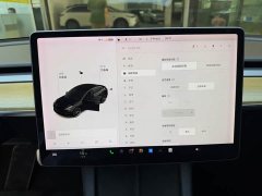 Tesla Model 3 Performance All-Wheel Drive 3D6 - ფოტო 15