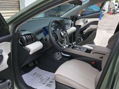 BYD Yuan Plus Champion Edition 510KM Leading - ფოტო 14