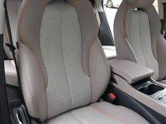 BYD Yuan Plus Champion Edition 510KM Leading - ფოტო 17