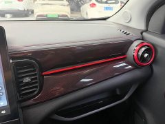 Chery Xiaomǎyǐ 251km True Ant 251km True Love Edition - ფოტო 10