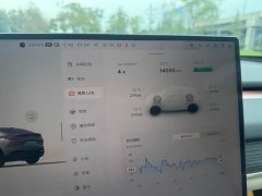 Nio Lerado L60 2024 60kWh Rear-Wheel Drive - ფოტო 12