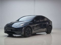 Tesla Model Y Long Range All-Wheel Drive - ფოტო 1