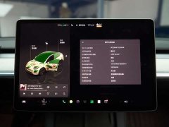 Tesla Model Y Long Range All-Wheel Drive - ფოტო 17