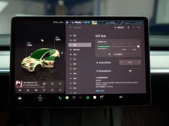 Tesla Model Y Long Range All-Wheel Drive - ფოტო 18