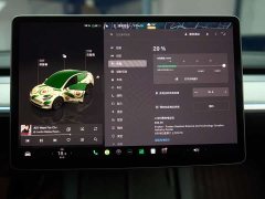 Tesla Model Y Long Range All-Wheel Drive - ფოტო 19