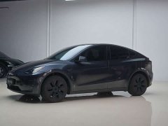 Tesla Model Y Long Range All-Wheel Drive - ფოტო 2