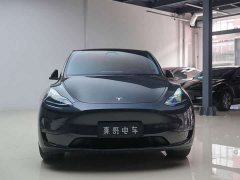 Tesla Model Y Long Range All-Wheel Drive - ფოტო 9