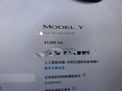 Tesla Model Y Standard Range RWD - ფოტო 13