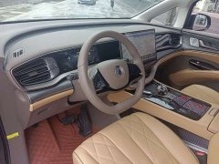 Denza BYD Denza D9 2022 DM-i 1040 Premium - ფოტო 12