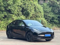 Tesla Model Y 2022 Facelift Rear-Wheel Drive - ფოტო 3