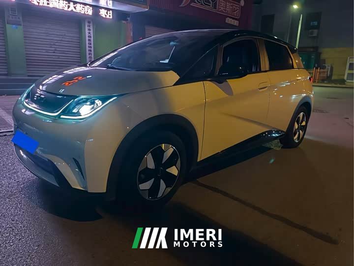 BYD Dolphin Glory Edition 420km Fashion Version - ავტომობილი ჩინეთიდან
