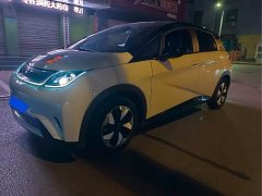 BYD Dolphin Glory Edition 420km Fashion Version - ფოტო 1