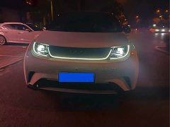 BYD Dolphin Glory Edition 420km Fashion Version - ფოტო 2