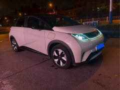 BYD Dolphin Glory Edition 420km Fashion Version - ფოტო 3