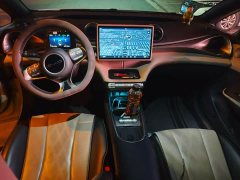 BYD Dolphin Glory Edition 420km Fashion Version - ფოტო 5