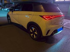 BYD Dolphin Glory Edition 420km Fashion Version - ფოტო 9