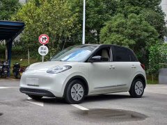 Wuling Binguo 2023 333km Joy Edition - ფოტო 1