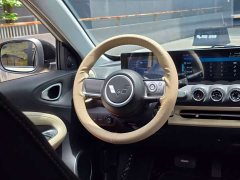 Wuling Binguo 2023 333km Joy Edition - ფოტო 10