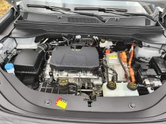 Wuling Starlight 560 New Energy Plug-in Hybrid 125km Luxury - ფოტო 10