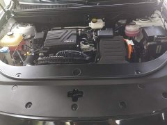 BYD Song Pro New Energy Champion Edition DM-i 110KM Excellence - ფოტო 10