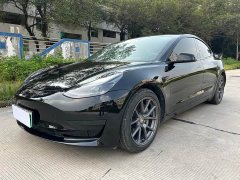 Tesla Model 3 Rear-Wheel Drive - ფოტო 1