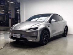 Tesla Model Y Standard Range RWD - ფოტო 1