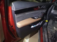 BYD Tang New Energy 2021 DM-i 112KM Premium Edition - ფოტო 7