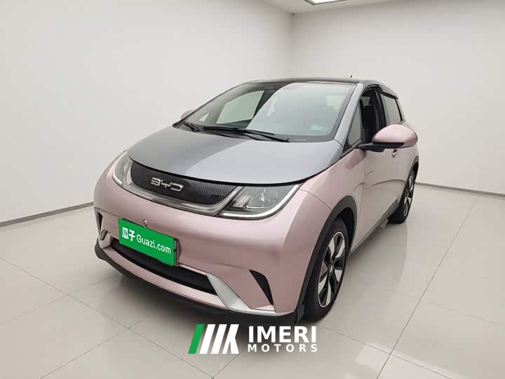 BYD Dolphin 401km Knight Edition - ავტომობილი ჩინეთიდან