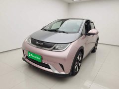 BYD Dolphin 401km Knight Edition - ფოტო 1