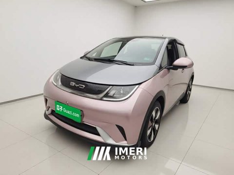 2022 BYD Dolphin 401km Knight Edition - ავტომობილი ჩინეთიდან