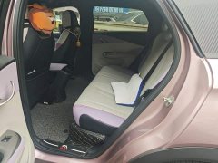 BYD Dolphin 401km Knight Edition - ფოტო 18