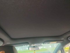 BYD Dolphin 401km Knight Edition - ფოტო 19