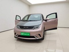 BYD Dolphin 401km Knight Edition - ფოტო 2