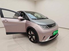BYD Dolphin 401km Knight Edition - ფოტო 3