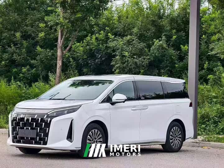 BYD M9 1060 Pilot Pro - ავტომობილი ჩინეთიდან