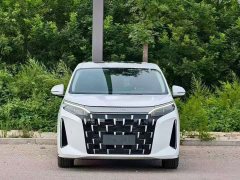 BYD M9 1060 Pilot Pro - ფოტო 2