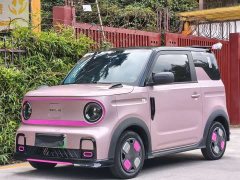 Geely Panda 210km Panda Kart - ფოტო 1