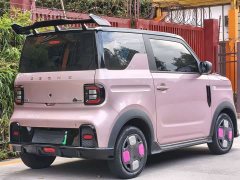 Geely Panda 210km Panda Kart - ფოტო 5