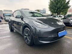 Tesla Model Y 2024 Rear-Wheel Drive - ფოტო 1