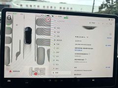 Tesla Model Y 2024 Rear-Wheel Drive - ფოტო 10