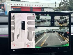 Tesla Model Y 2024 Rear-Wheel Drive - ფოტო 9