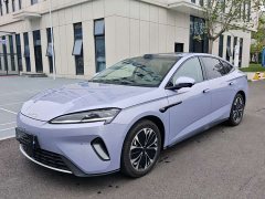 BYD Dolphin 07 EV 705 Flagship - ფოტო 1